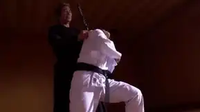 女武術家アナルレイプ 犯されたプライド 管野しずか