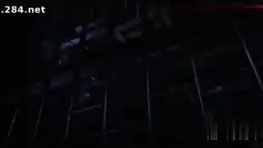 第一夫人性秘密
