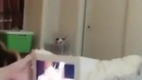 黛蜜儿充满诱惑的美女主播兄弟们值得一看4_GC931V