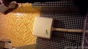 卫生间偷拍颜值极美的商场导购如厕