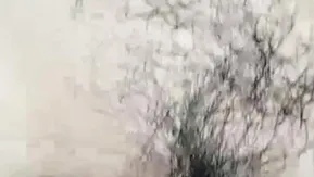 骚气少妇双人啪啪秀情趣装蒙上眼后入抽插大屁股多种姿势换