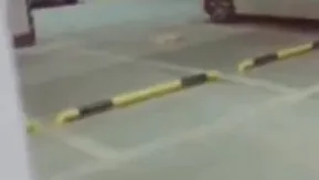 地下室尾随穿着清凉的少妇~楼梯间强行插入!!最后竟然......