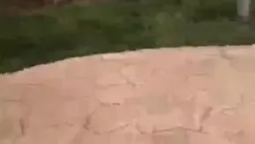 这女太色