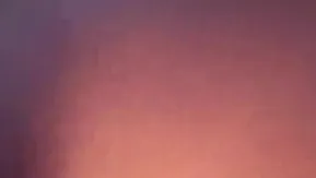 后入式