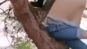 [短视频区] 高枝操逼