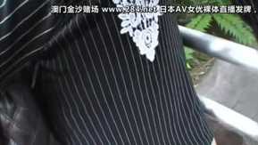 Chat japonais Kanae coquin jouant dehors