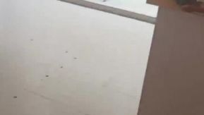 Uma bela âncora invade um salão de beleza como aprendiz e secretamente tira fotos da ajuda do mestre enquanto ninguém está preparado.