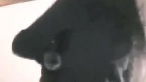 Ama de casa elegante y moderna disfruta tomando agarraderas para perros cuando nadie más está mirando