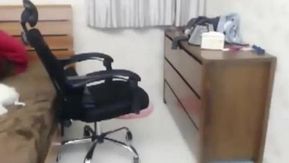 漂亮可人的恋夜女神花花姐直播炮机大秀 呻吟销魂刺激一波接一波 清晰对白