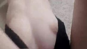 発情期