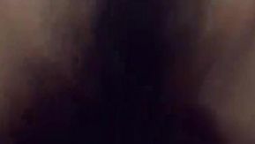 Selfie de casal doméstico