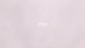 美女主播为礼物勾引健身教练到公园,有人路过吓得把鸡巴拔