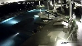 [Hong Kong] Um casal em um hotel ~ não conseguia dormir e gritou no meio da noite ~ foi para a piscina do último andar para uma foda intensa ~