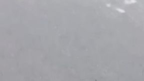 白嫩网红故意路边拦便车 用身体付司机车资自己又能爽
