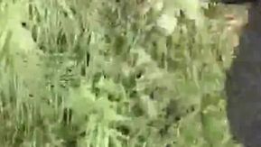 白虎高挑妹子和小鲜肉主播户外激啪~还闯空门到别人家继续操~