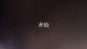 妹子狂摸计程车驾驶GG嘴里高喊骚逼想要！司机就範后女妙答：好短阿早知道不找你