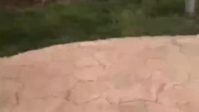 Essa garota é tão sexy