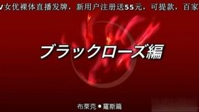 中国語字幕-女格闘エクスタシーファイト1