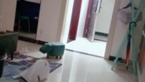 Documentaire des années de sexe en groupe obscène entre une jeune femme coquette et plusieurs personnes [50P]