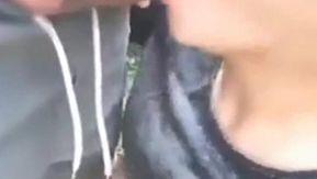 Transmisión en vivo de sexo salvaje al borde de la carretera en el parque verde al lado de la comunidad a plena luz del día con una mujer de grandes pechos