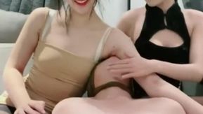 お金があれば何でもできる！二人の若い女性が体をなめてきれいにするために小さな狼犬を買いました。