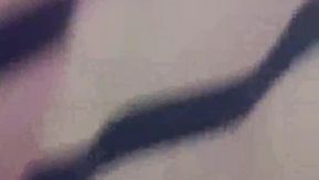[短片區] 115