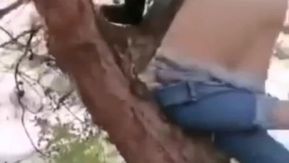 [短视频区] 高枝操逼