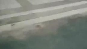 Jovem safada seduz cara milf e faz sexo