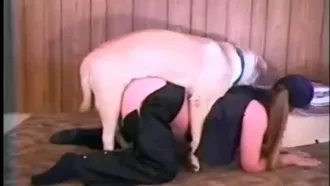 [Dog sex and bestiality porn] Vulnerable slutty wife gets penetrated by golden retriever