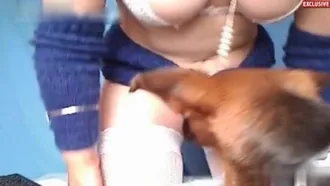 Slut in white fishnet stockings lets her dog lick her hairy asshole in various positions