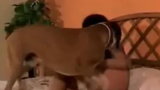 Big booty doggy in crazy xnxx family porn