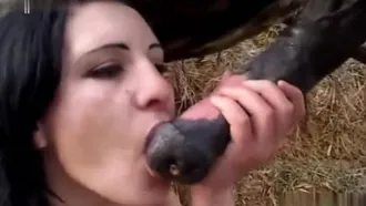 Intense blowjob between slutty wife and her horse babe