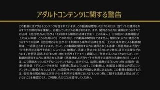 加勒比海語 - Yuuki Shiina 貓咪百科全書