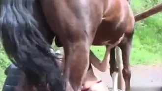 Blonde beauty in smash mode for a horse big cock