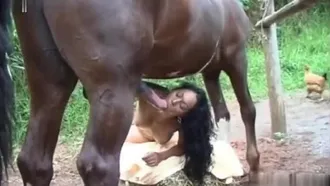 Tight wife trades whole horse cock in her tiny pussy
