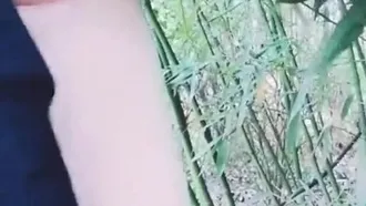 Yuxi Beibei encontró un pequeño bosque de bambú para disparar artillería de campaña, lo cual era mucho más emocionante que hacerlo en casa.