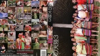 [Uncensored leak] NHDT-423 Naked Continent 3