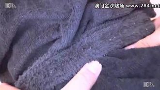 ¡El sensual masaje de HEYZO Ao Shino te da placer! En el caso de ~