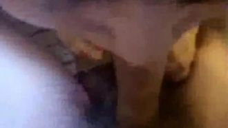 Сучка с большими сиськами 3