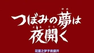 DMSM-5246 パピヨンローゼ New Season 1 アキバは萌えているか！？