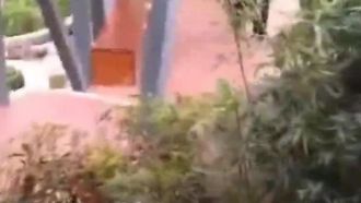 Nua no carro, conversando com os transeuntes para pedir informações, expondo-se corajosamente a um jardim pitoresco em um local público e tocando flauta para o diretor