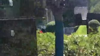 Para chamar a atenção, a apresentadora expôs os seios e a vagina durante uma transmissão ao vivo em uma rua movimentada.
