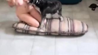 k9.zoophilia 금발 엿 로 짧은 개 에 거실 바닥