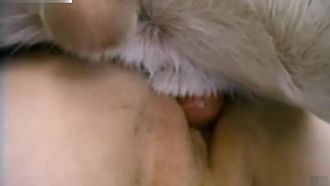 XX自制！.狗狗饼为此狗恋物癖荡妇