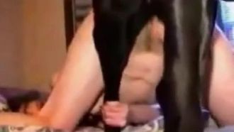 大きな黒い犬は、準備ができた小さな胸の湯たんぽの計り知れないボールでボールをファックします