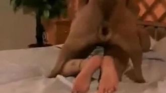 Big Booty Doggy in verrückten xnxx-Familienpornos