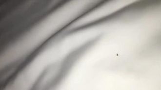 Du point de vue à la première personne, une femme mature sexy en bas noirs est pénétrée sans préservatif, en gros plan, et son sperme coule à flot.