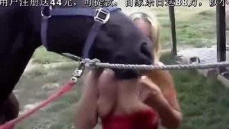 Blonde laisse le cheval renifler sa chatte rasée