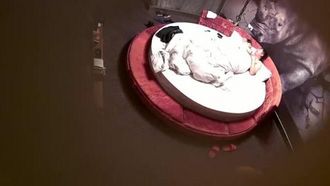 Un uomo d'affari di mezza età e una giovane donna sono stati filmati di nascosto su un grande letto rotondo in un boutique hotel, mentre fumavano una sigaretta dopo aver avuto una relazione.