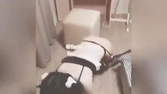 [调教系列] 女僕的犬奴调教~贱狗!!舔我的袜子吧!!